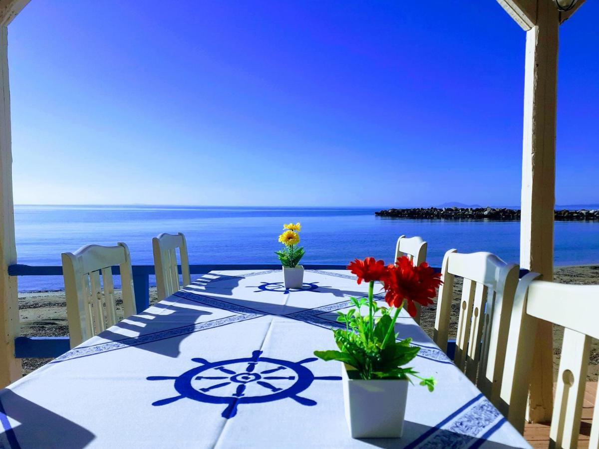 Medusa Apartments Katelios Bagian luar foto