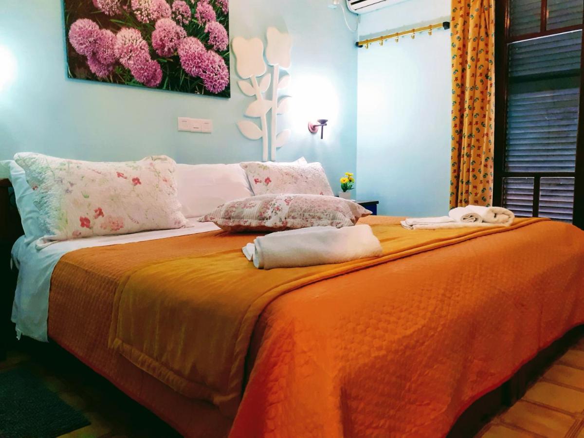 Medusa Apartments Katelios Bagian luar foto